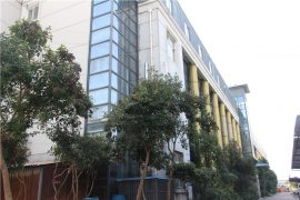 ఫ్యాక్టరీ షో